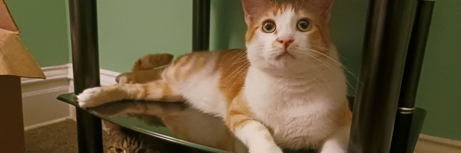 urcrayontastic's profile banner image