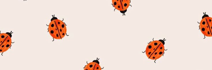 insecta_a's profile banner image