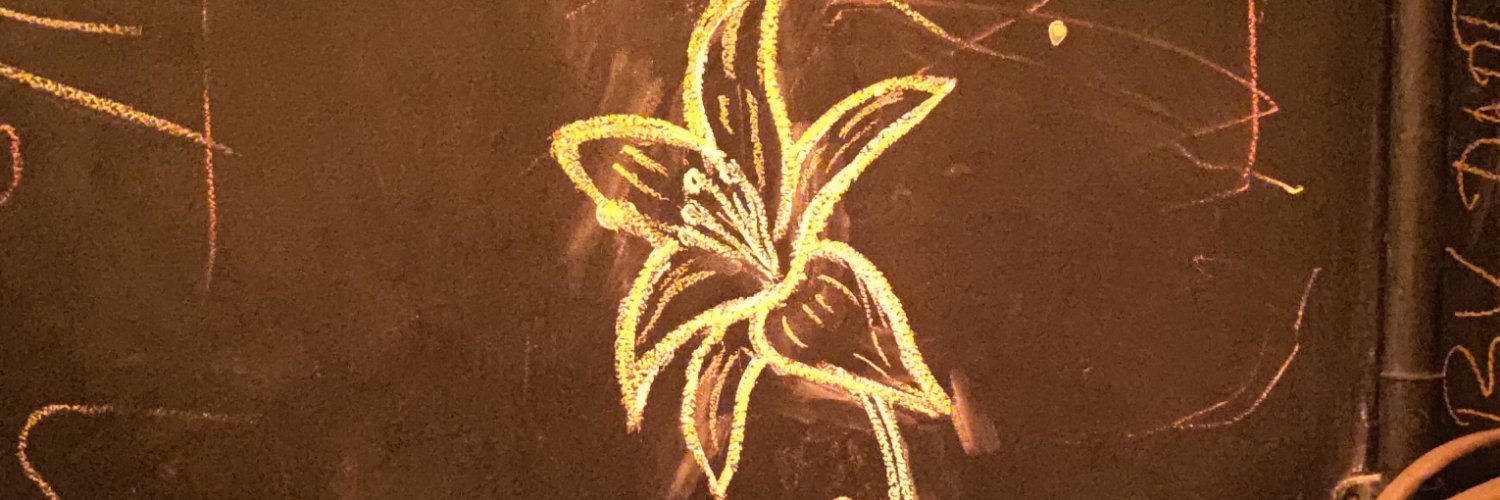 NOUM4NA's profile banner image