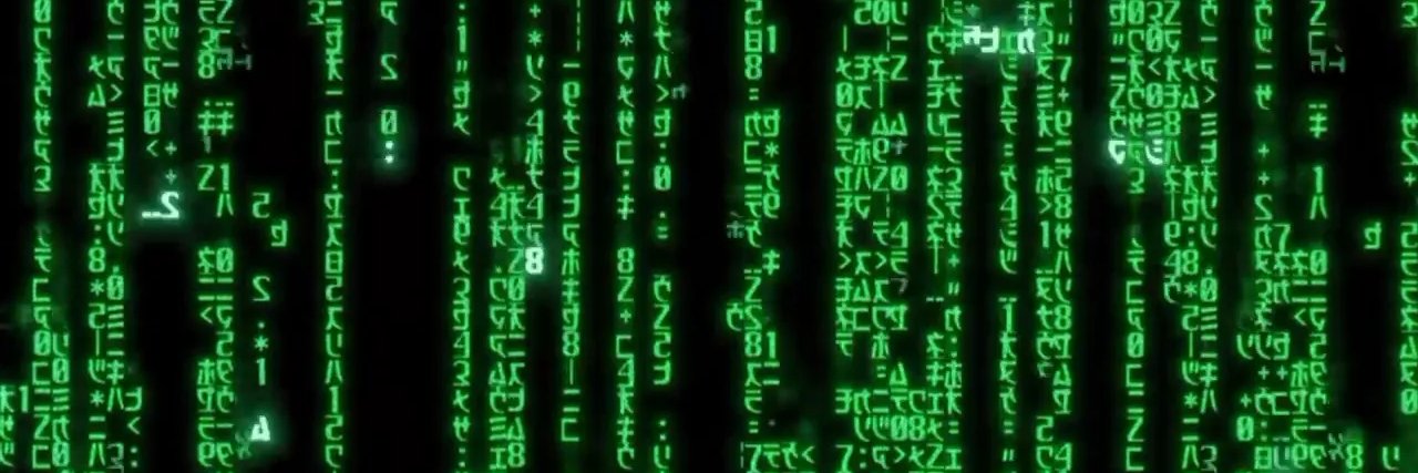 ابن آوى banner