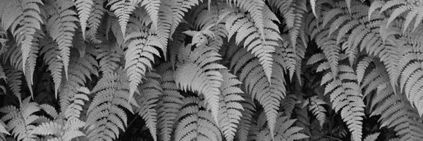 JayeHarrill Profile Banner
