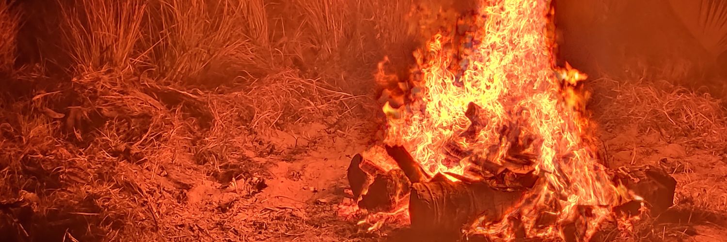 assisyagoo's profile banner image