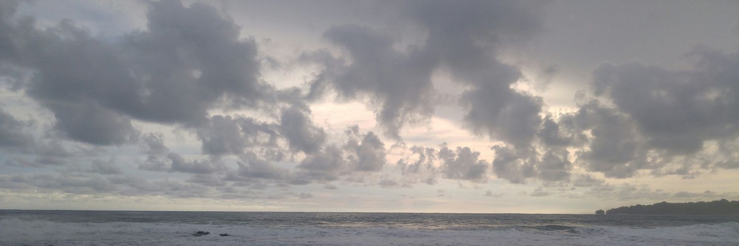 saandysan's profile banner image
