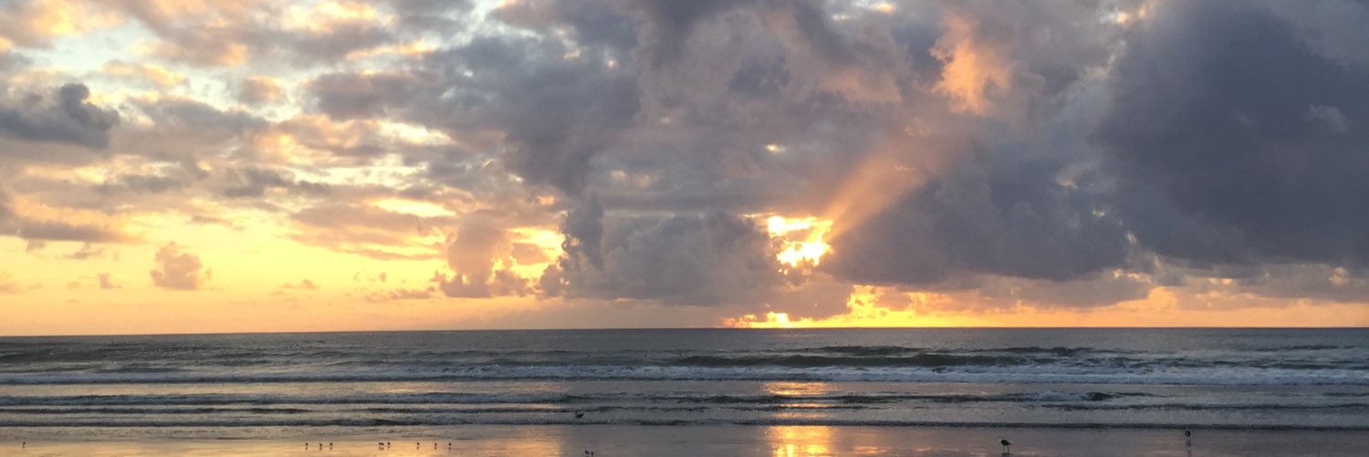 Matthewdbravo's profile banner image
