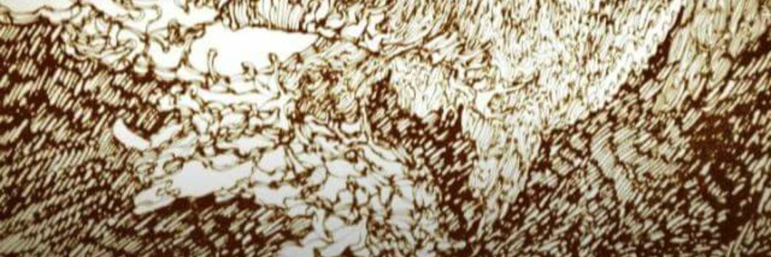 annulatusss's profile banner image