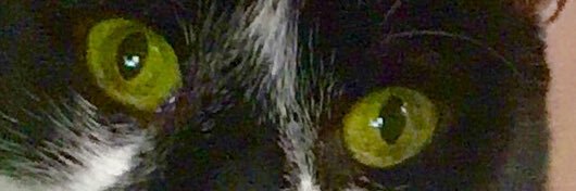 jacbern's profile banner image