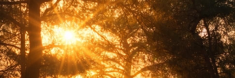 Sun12im7h's profile banner image