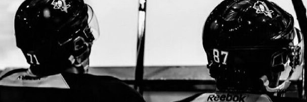 genopenguino's profile banner image