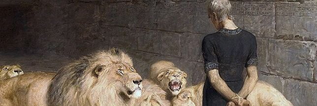 zorekSOL's profile banner image