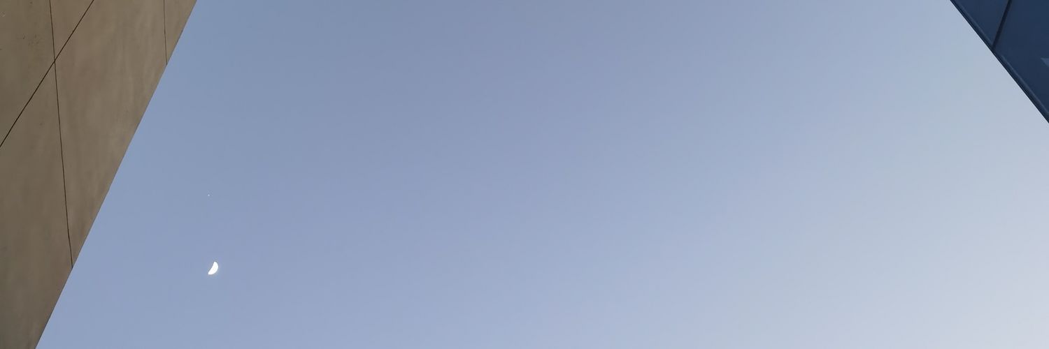 liudao's profile banner image