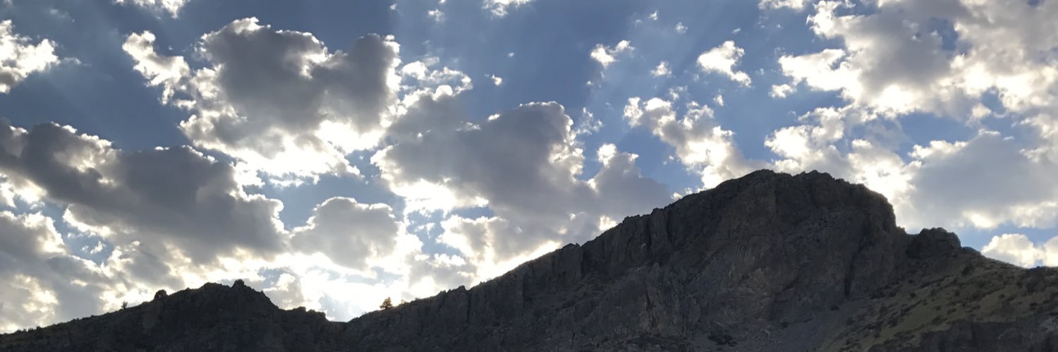 mrmazzoli's profile banner image