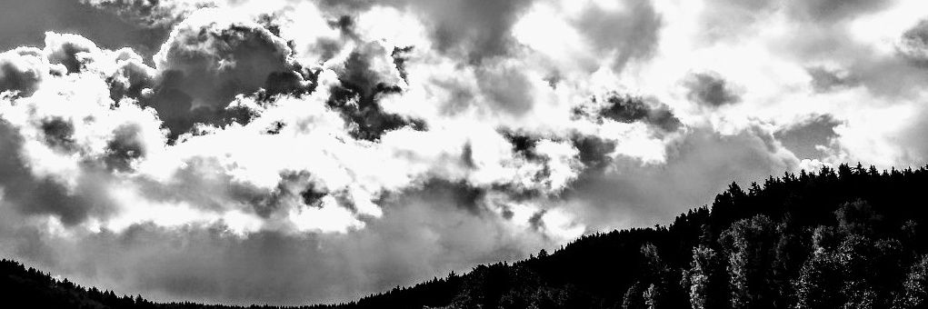 andicisch's profile banner image
