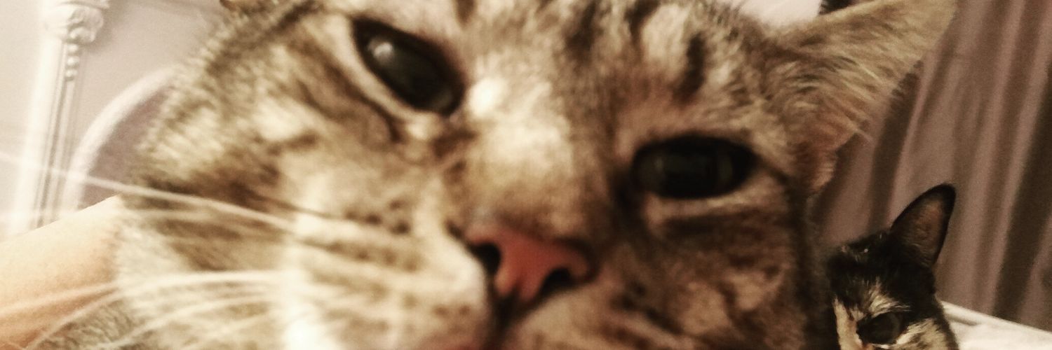 Kelly Reardon Brown - Kelly RB Radio Cardiff banner