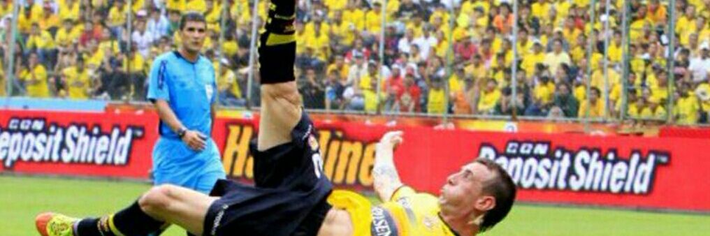 Pedrinho990's profile banner image
