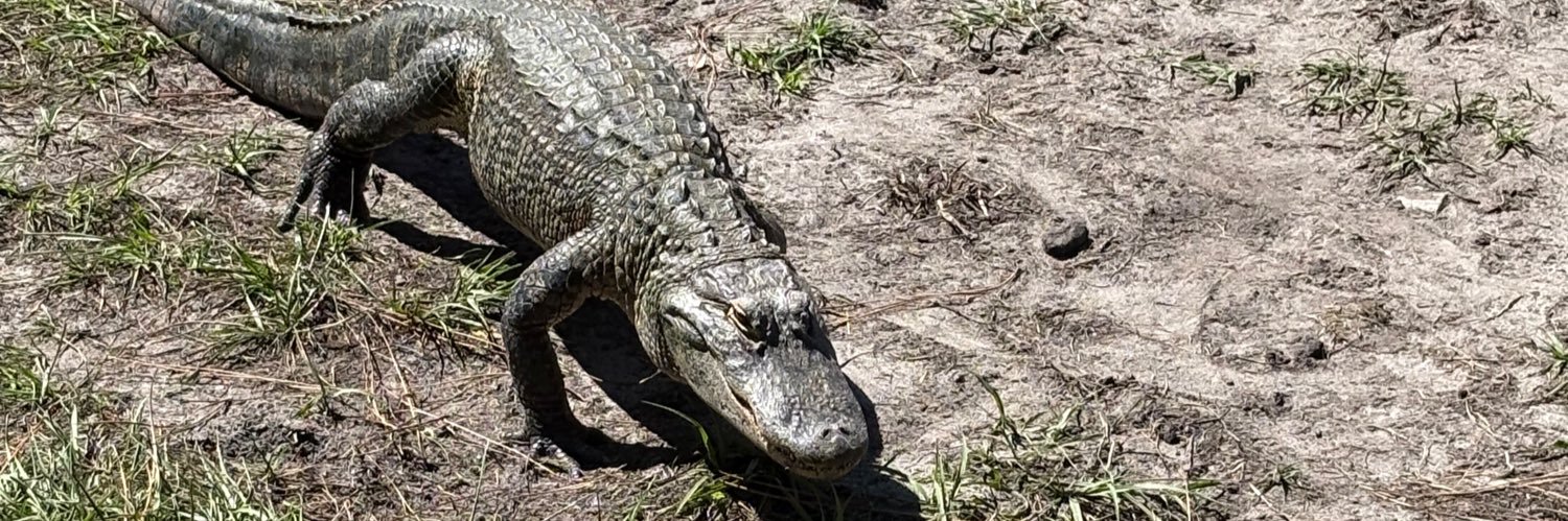 Gordon Plutsky banner