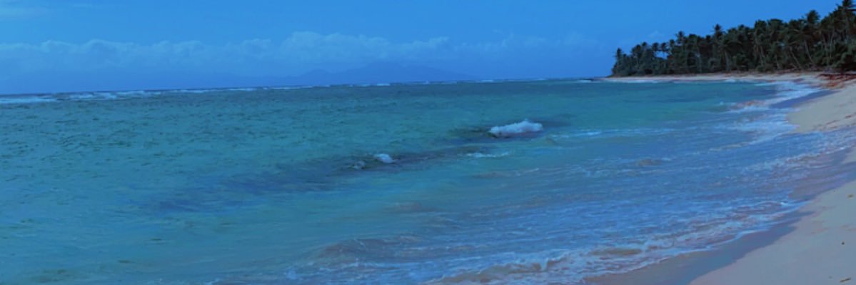 L0RLeeY's profile banner image