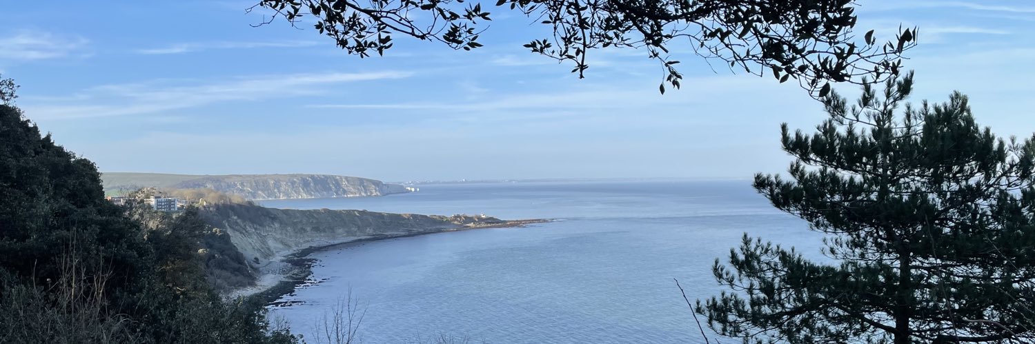 Rachel Phillips 🎄 banner