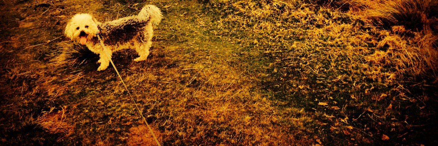 beccajaneG85's profile banner image