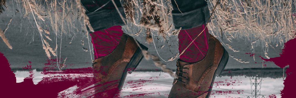 Solicai's profile banner image