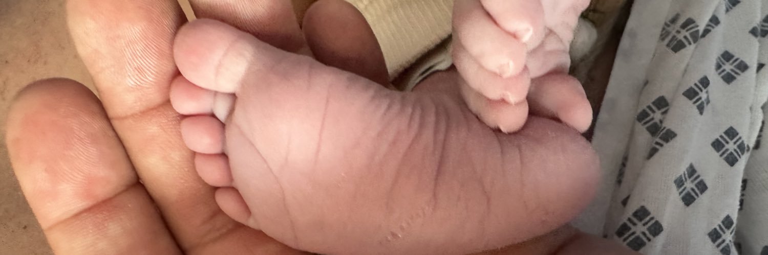 Katherine Stonehouse banner