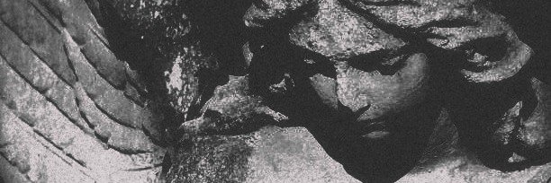 qimmaculata's profile banner image