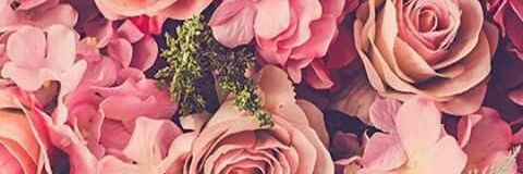 mistirkis's profile banner image