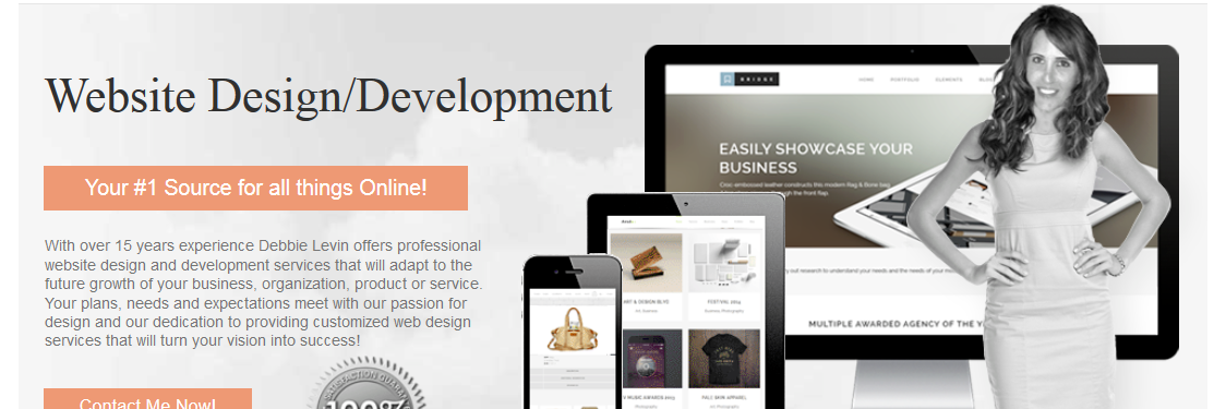 Debbie Levin banner