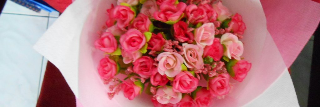 dewiwidew28's profile banner image