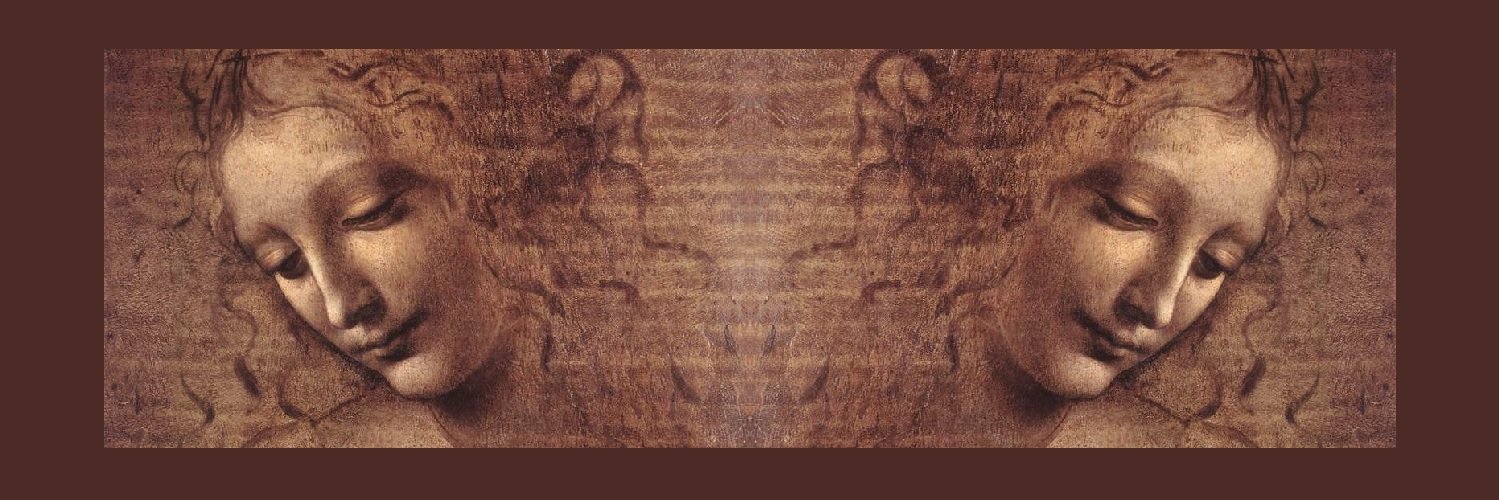 Self Renaissance banner