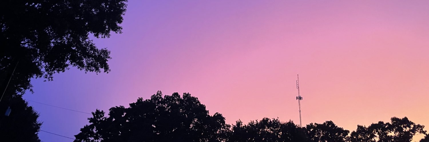 TatanaDSims's profile banner image