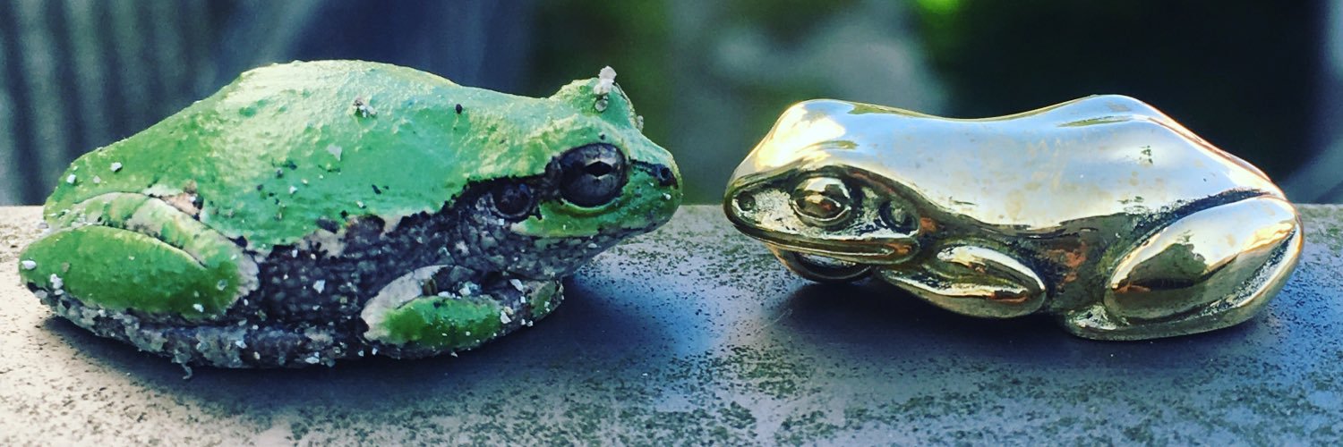 silverfrogTaBoo's profile banner image