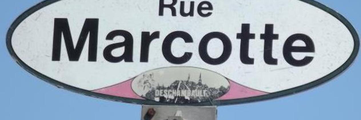 Matt Marcotte banner