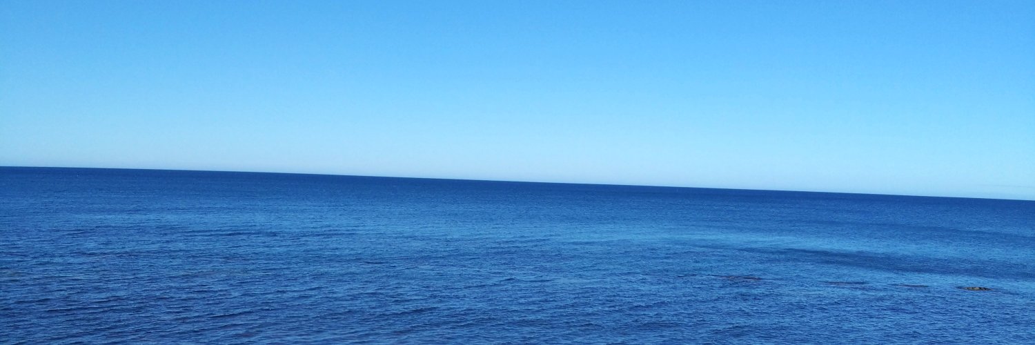 sharksiu_1035's profile banner image