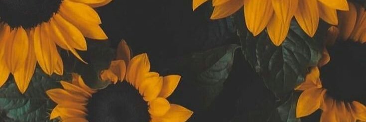 katebrew_'s profile banner image