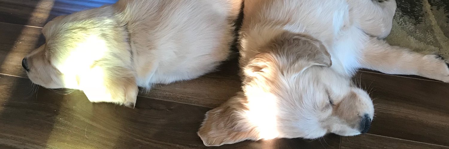 JeffHelman42's profile banner image