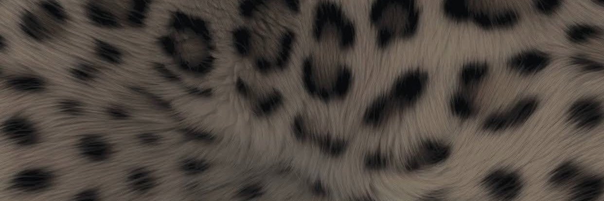 dolceadda's profile banner image