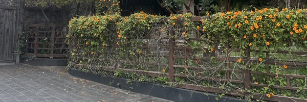 Laurlaur226 Profile Banner