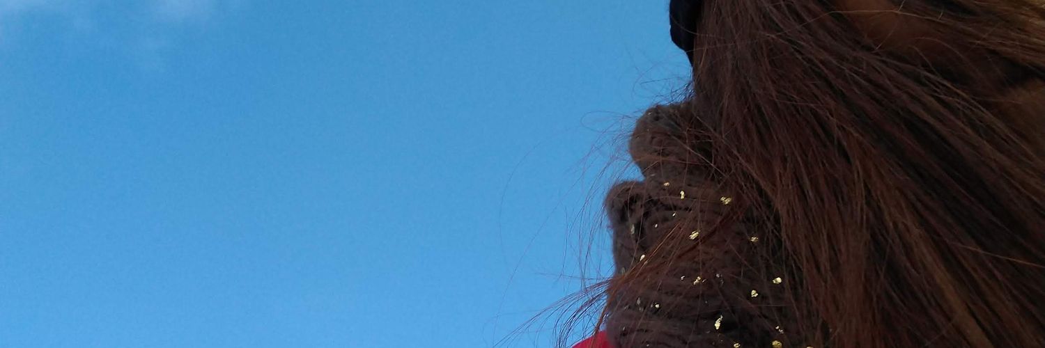 AriMORESS's profile banner image