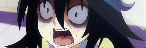 TempestFoxNZ's profile banner image