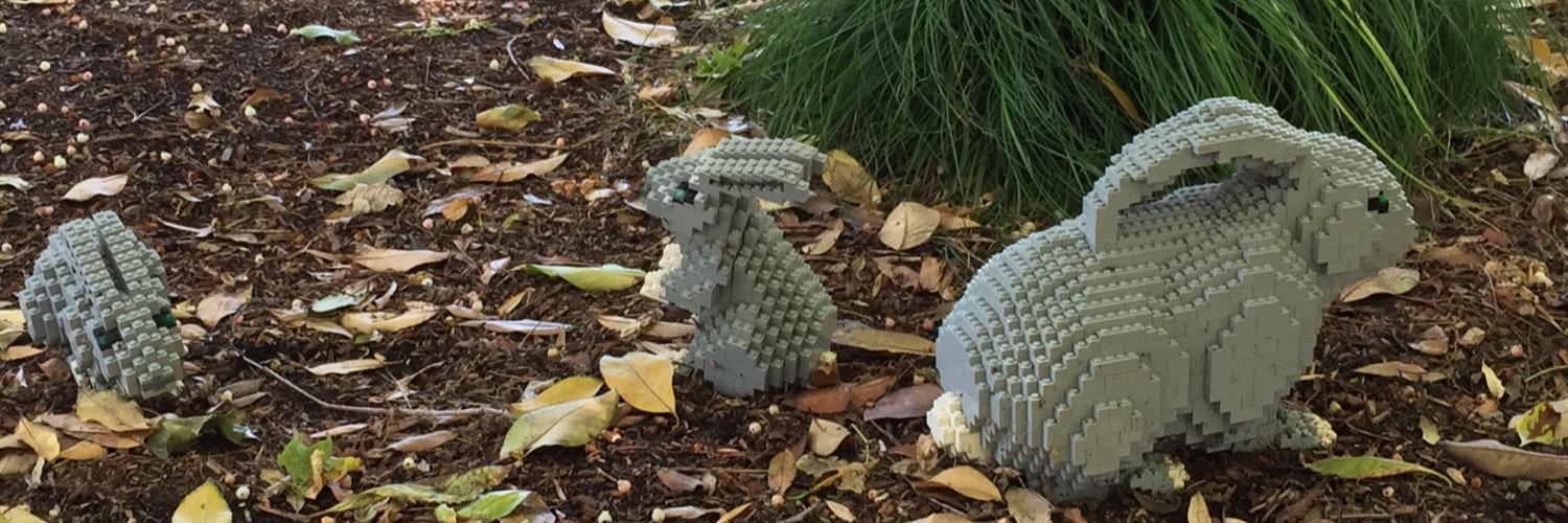 Garrett Black banner