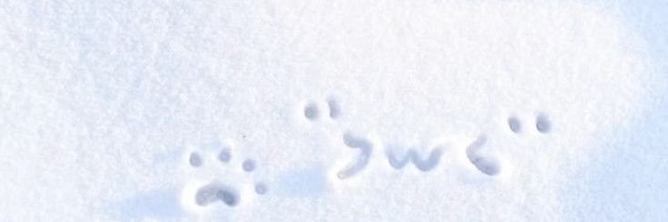 qma6lb's profile banner image