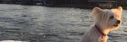 Rebecca Hoban banner