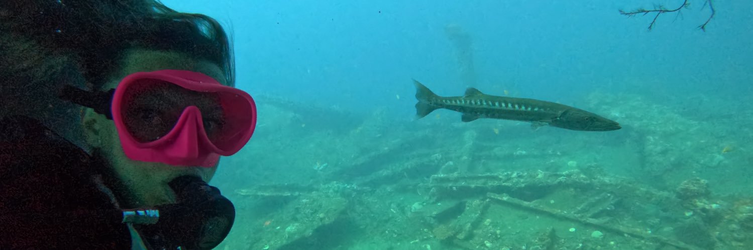 Всевидящее Мокко banner