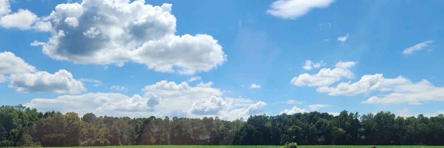 mwantley's profile banner image