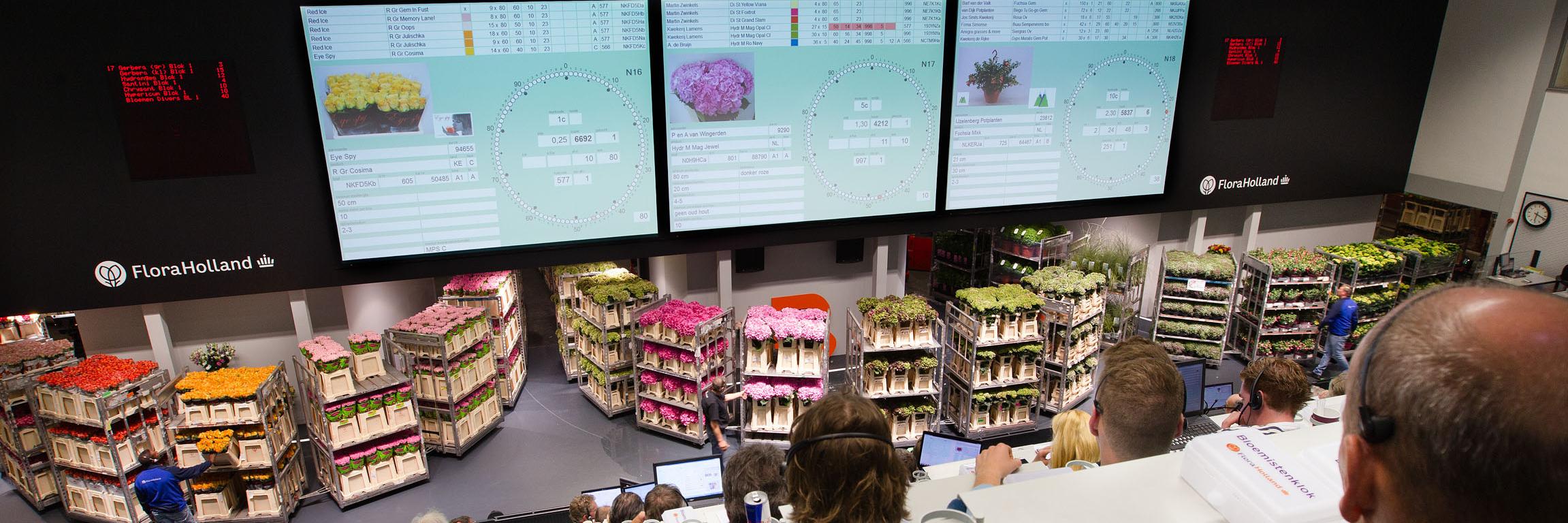 Ger de Brabander banner