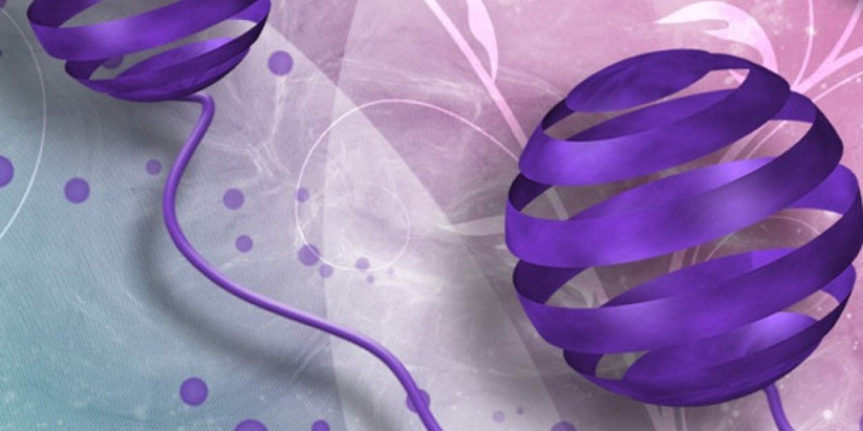 lye2758's profile banner image