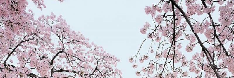 klmatiah's profile banner image