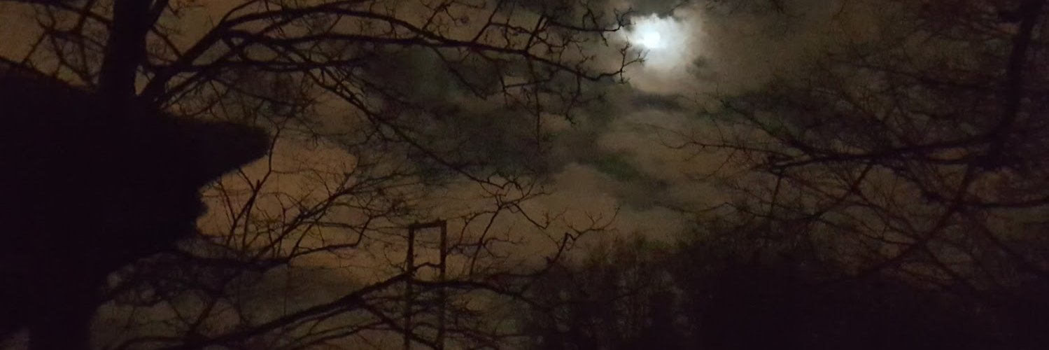 Tom is no longer spooky banner