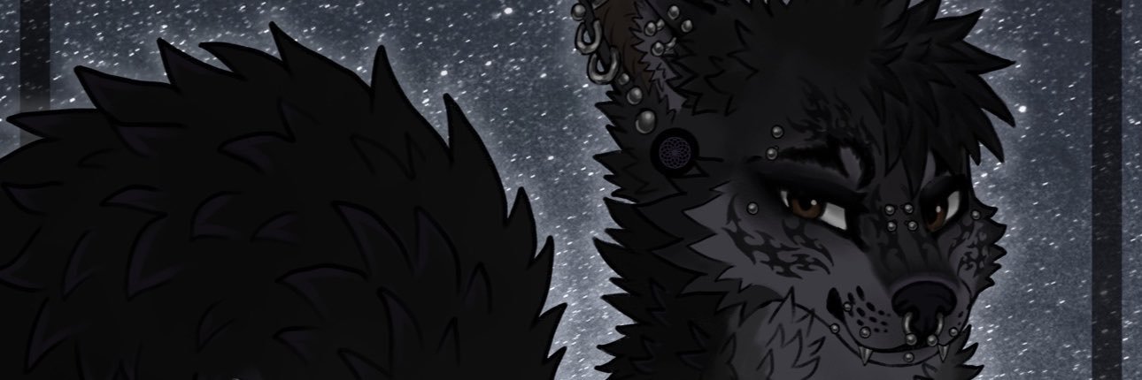 nightstarvault's profile banner image