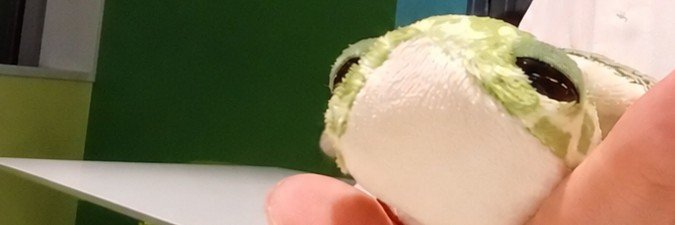 Ako_paradise's profile banner image